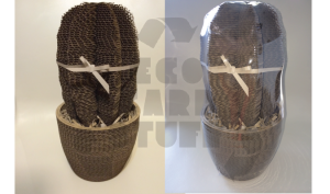 cacti plants4-01